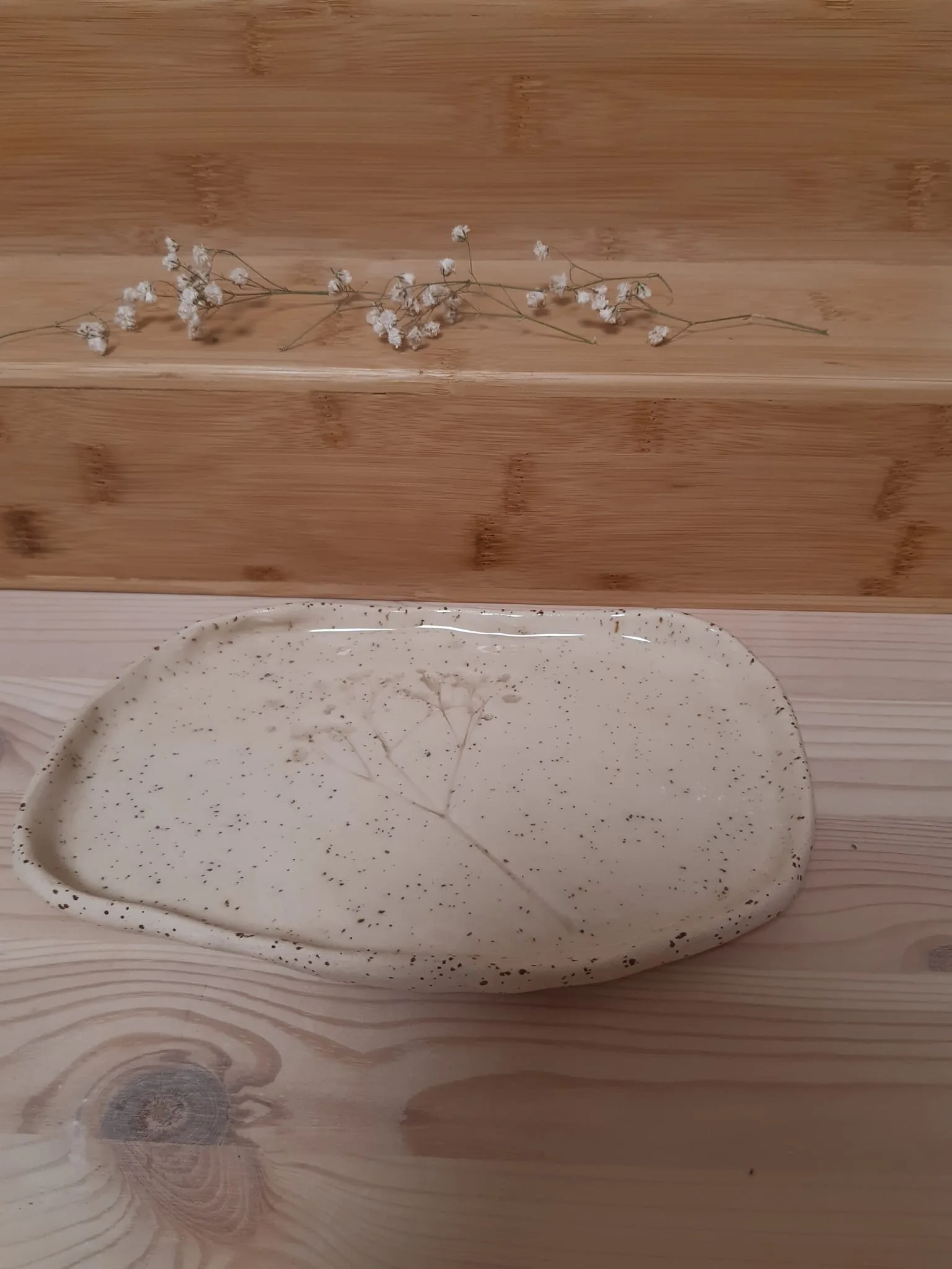 צלחת גיפסניות