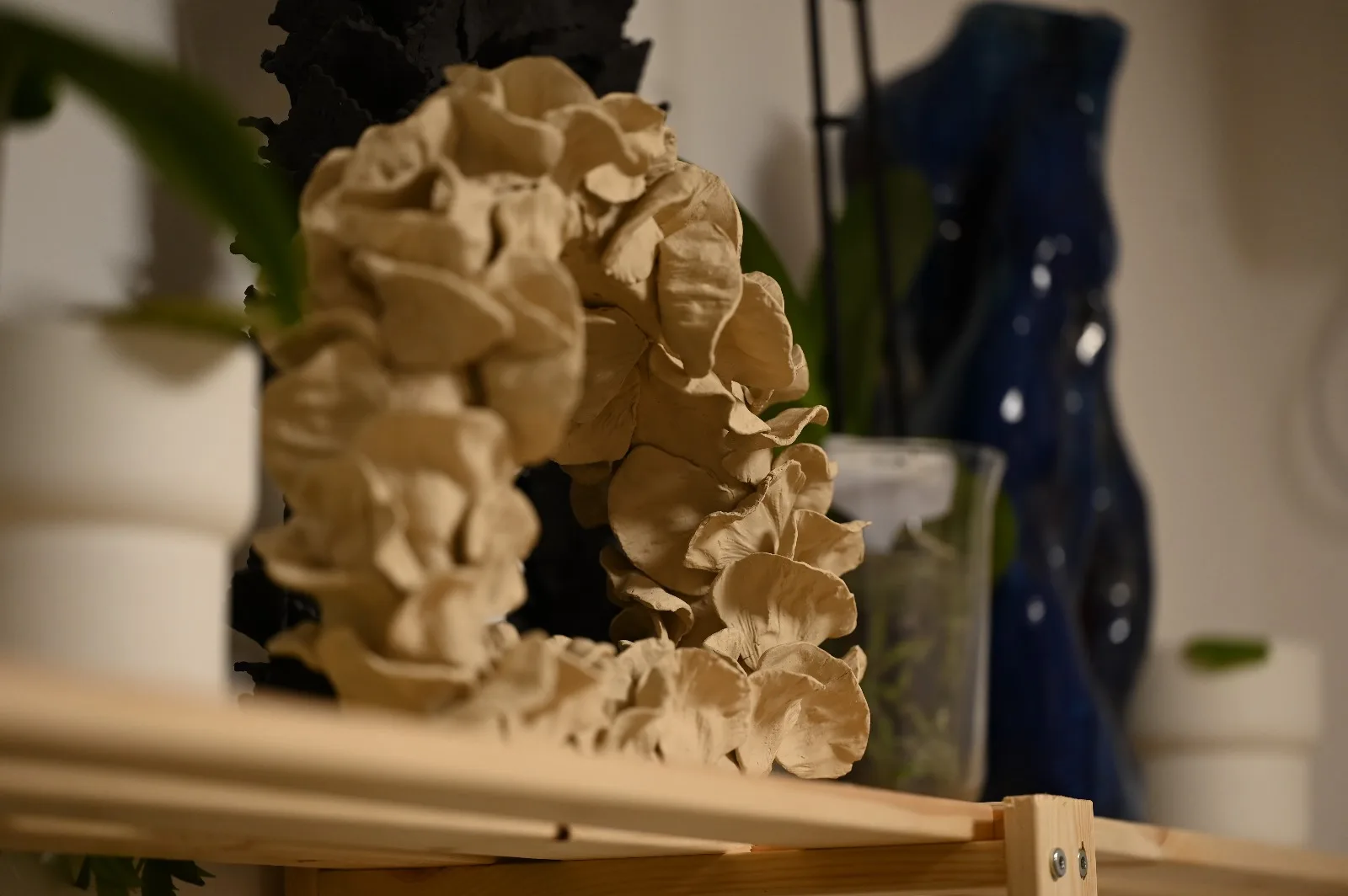 סדנה אדמה ורוח